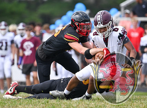 Dulaney-v-Towson06514