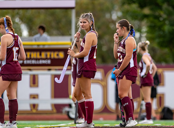 HerefordFH-00385