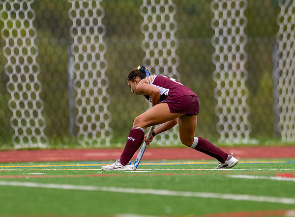 HerefordFH-00449