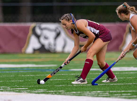 HerefordFH-00500