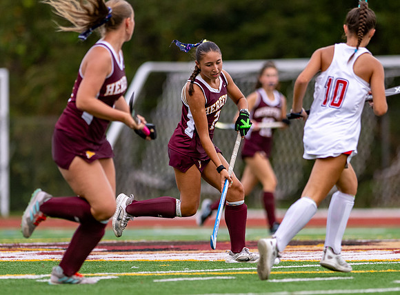 HerefordFH-00557