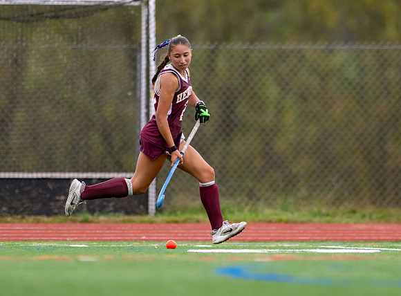 HerefordFH-00599
