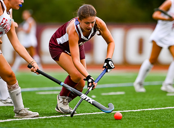 HerefordFH-00685