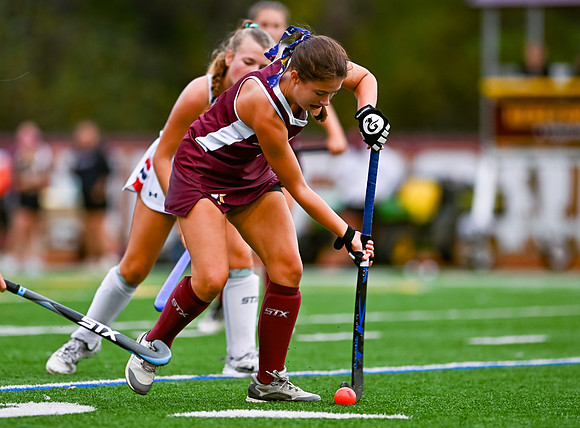 HerefordFH-00678