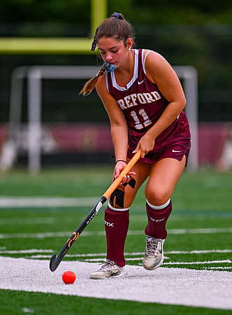 HerefordFH-00719