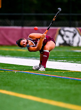 HerefordFH-00749