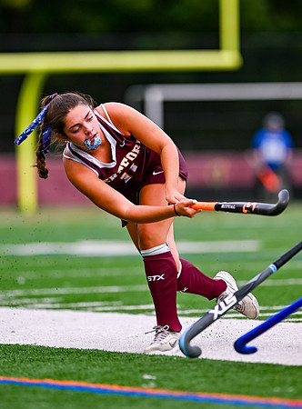 HerefordFH-00724