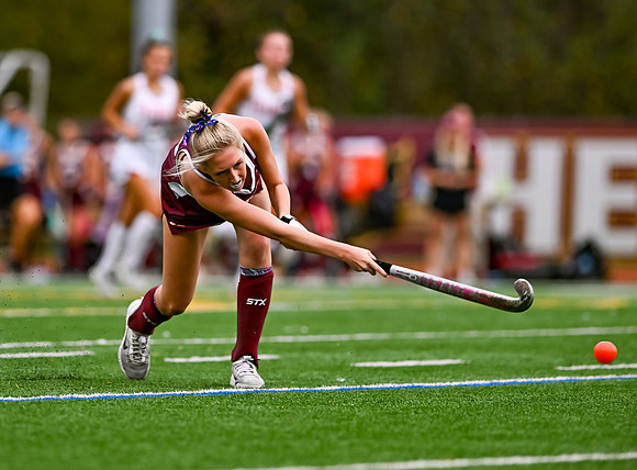 HerefordFH-00924
