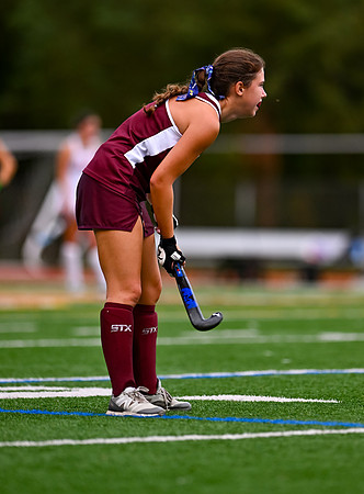 HerefordFH-01004