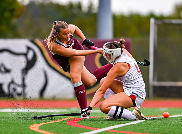 HerefordFH-01045