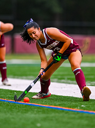 HerefordFH-01095