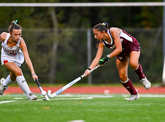HerefordFH-01339