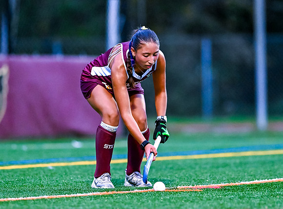 HerefordFH-01390