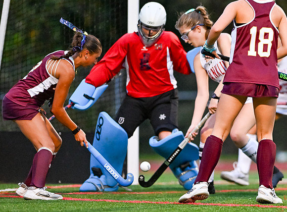 HerefordFH-01496