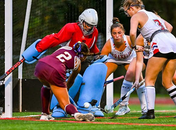 HerefordFH-01504