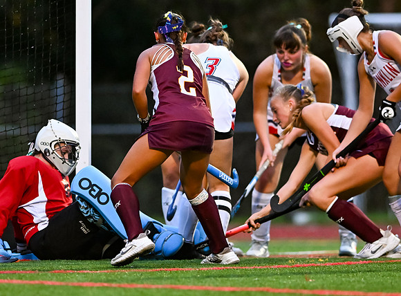 HerefordFH-01523