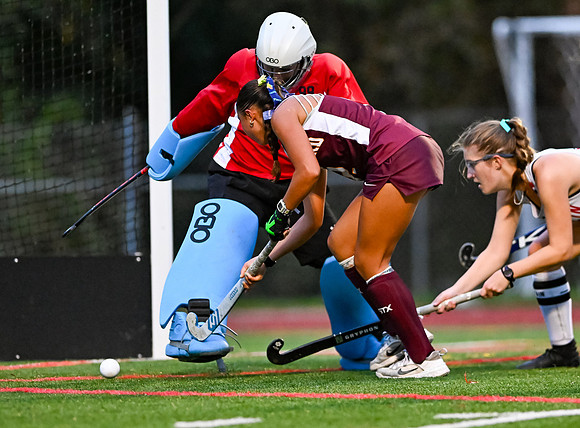 HerefordFH-01544