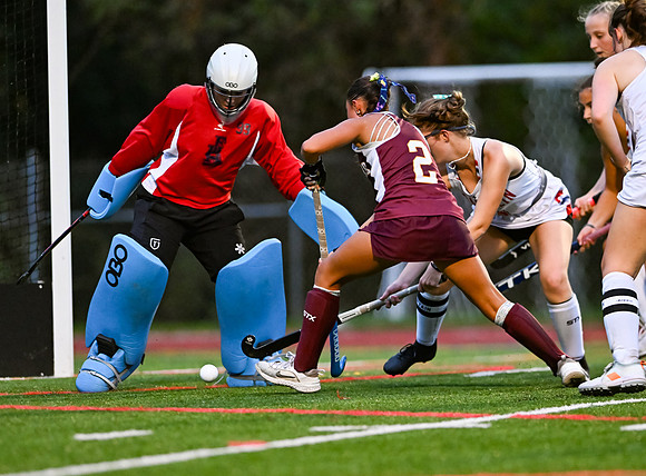 HerefordFH-01540
