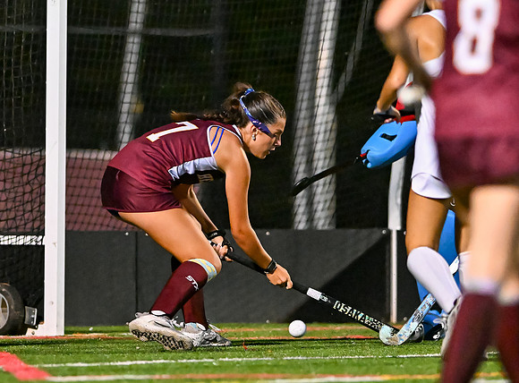 HerefordFH-02485