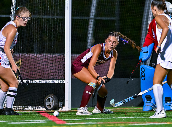 HerefordFH-02490