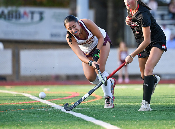Dulaney-v-Hereford-01617