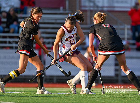 Dulaney-v-Hereford-00943