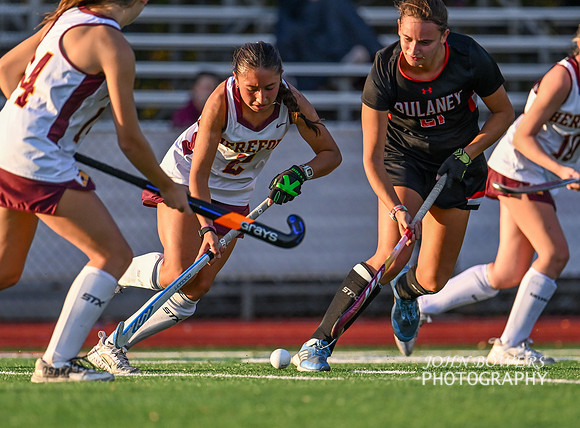 Dulaney-v-Hereford-01110