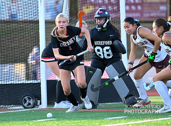 Dulaney-v-Hereford-01183