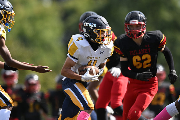 Dulaney-v-PH (9 of 159)