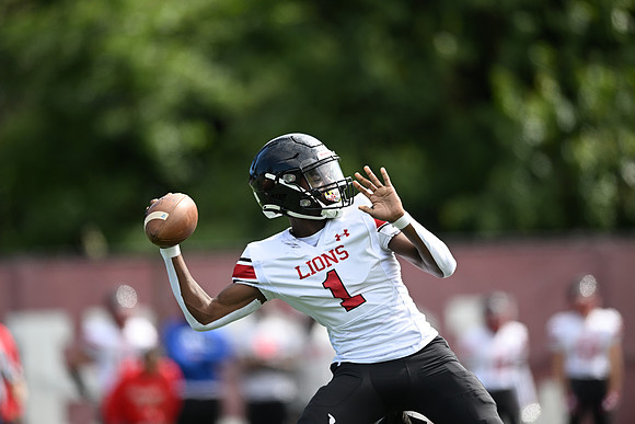 Dulaney-v-TowsonV0054
