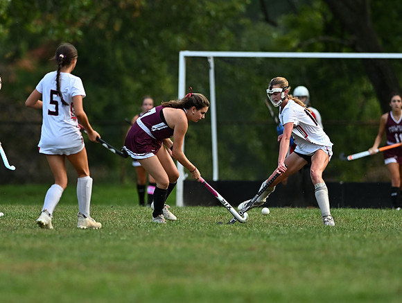 Dulaney-v-Towson-04168