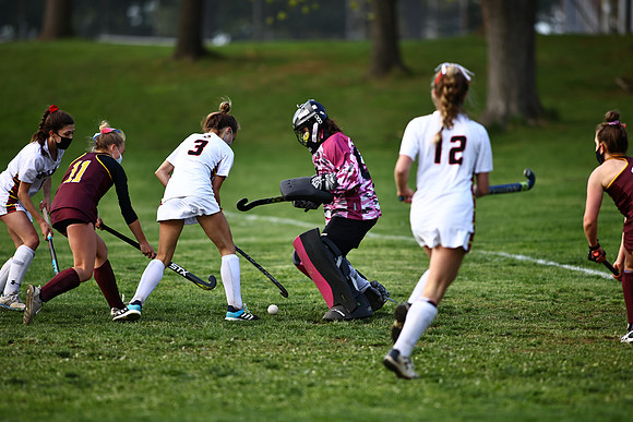Dulaney-v-Hereford648