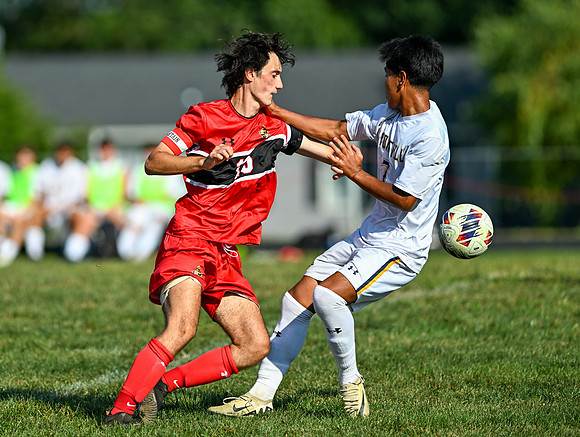 Lions-00562