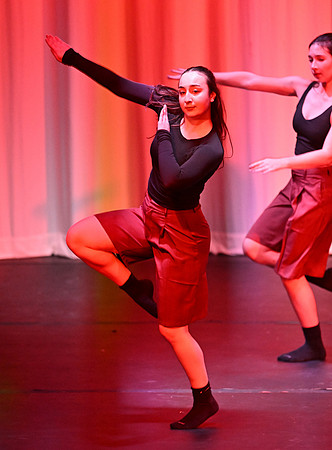 HerefordDance05465