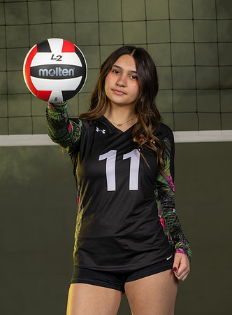 LavaVB-01386
