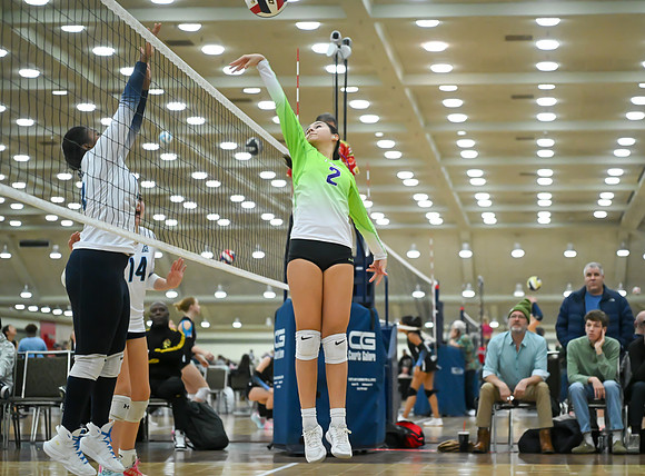 MVA-10123