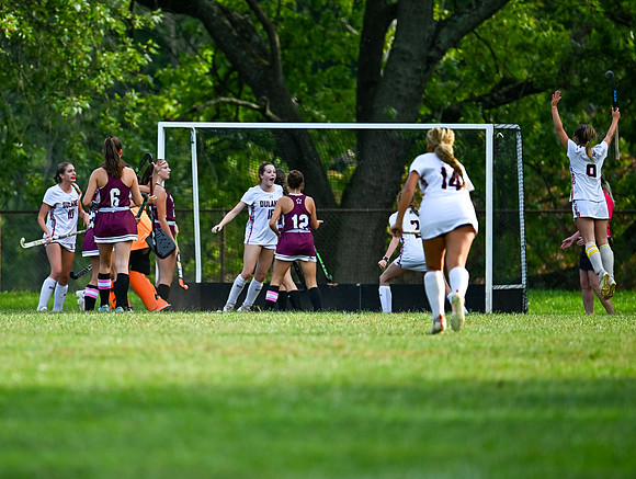 Dulaney-v-Towson-03110