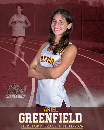 Ariel