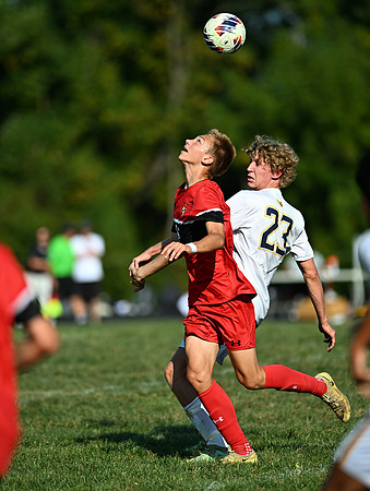 Lions-00667