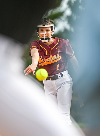 Hereford-v-Dulaney00147
