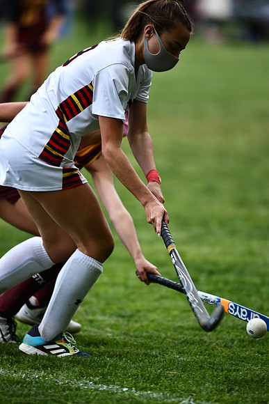 Dulaney-v-Hereford356