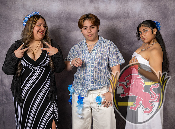 DulaneyJrProm12007