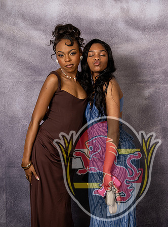 DulaneyJrProm12011