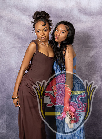 DulaneyJrProm12013