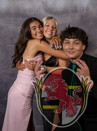 DulaneyJrProm12064