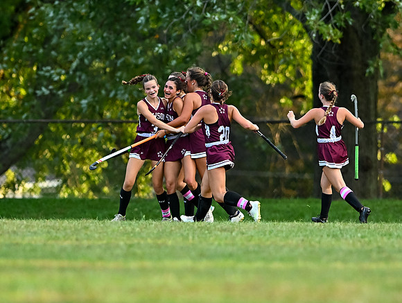 Dulaney-v-Towson-05080