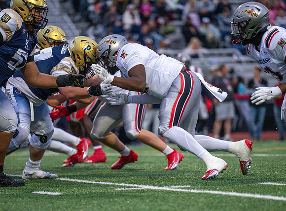 Big3308331