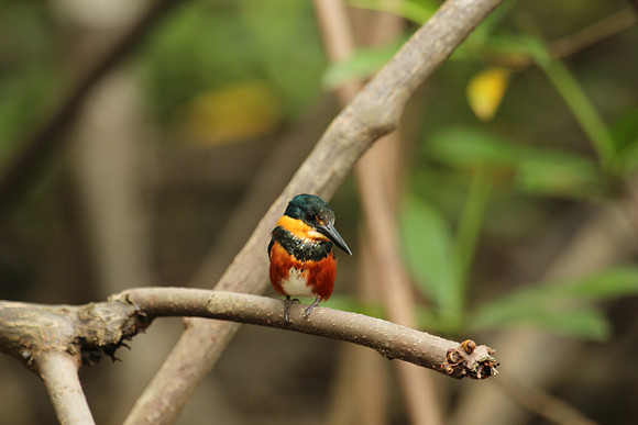 Costa Rica 378