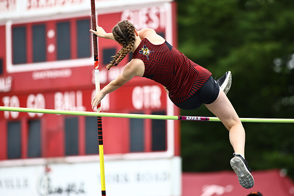 DHSTrack110