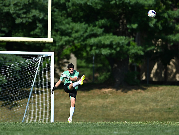 Lions-00351